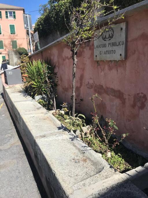 Pisi Home, 2 Min Dalla Spiaggia E Dall' Ospedale Gaslini Genua Exteriör bild